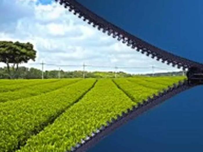 Российский день без бумаги